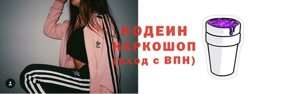 хмурый Алзамай